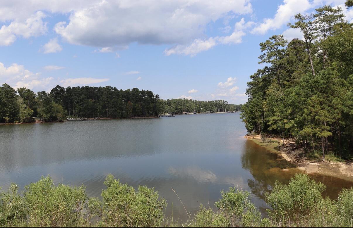 3763 Adelia Drive, Appling