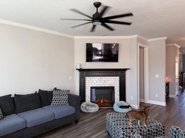 938 Walker Point Drive Drive