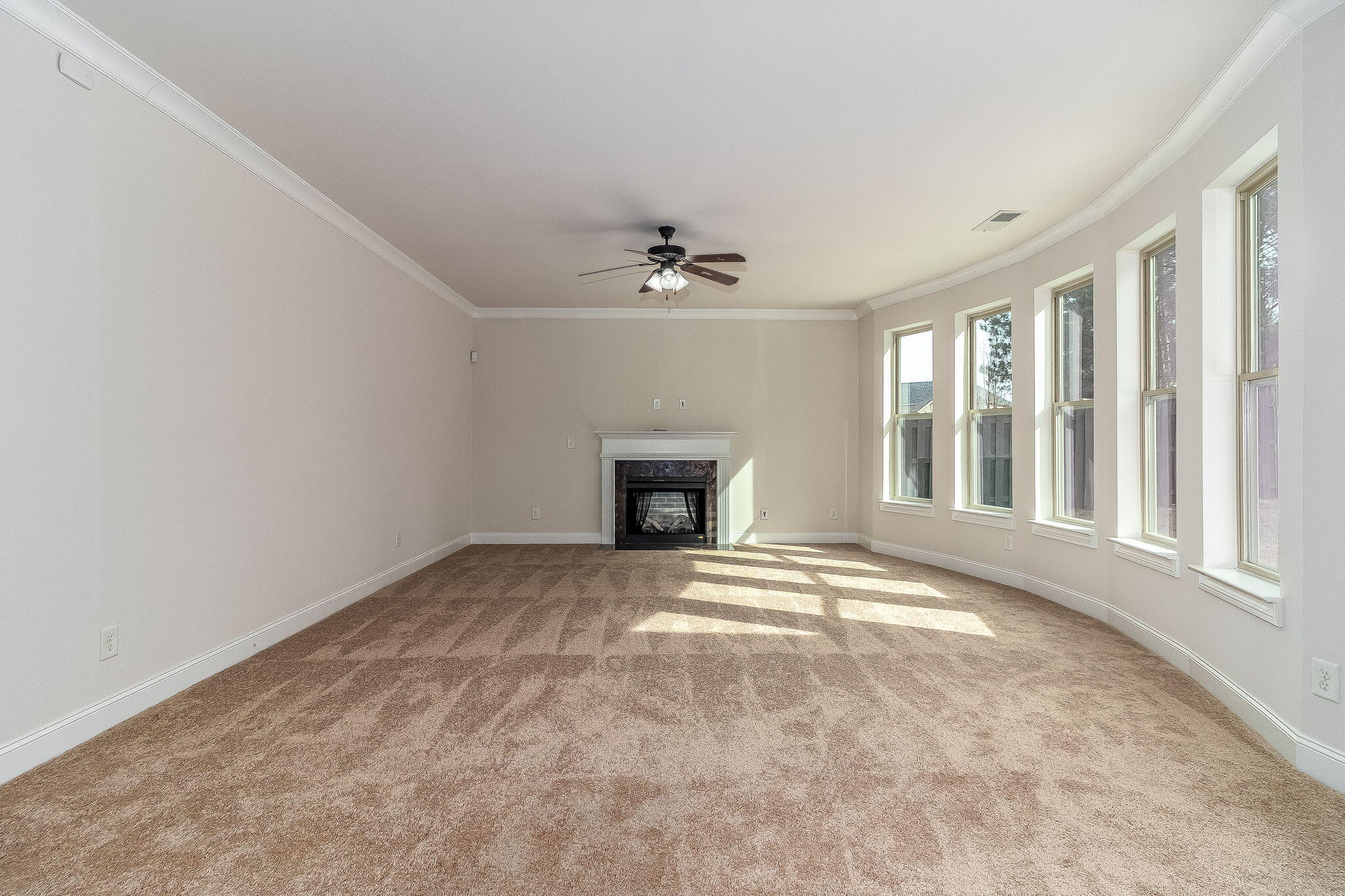 1514 Old Spruce Lane