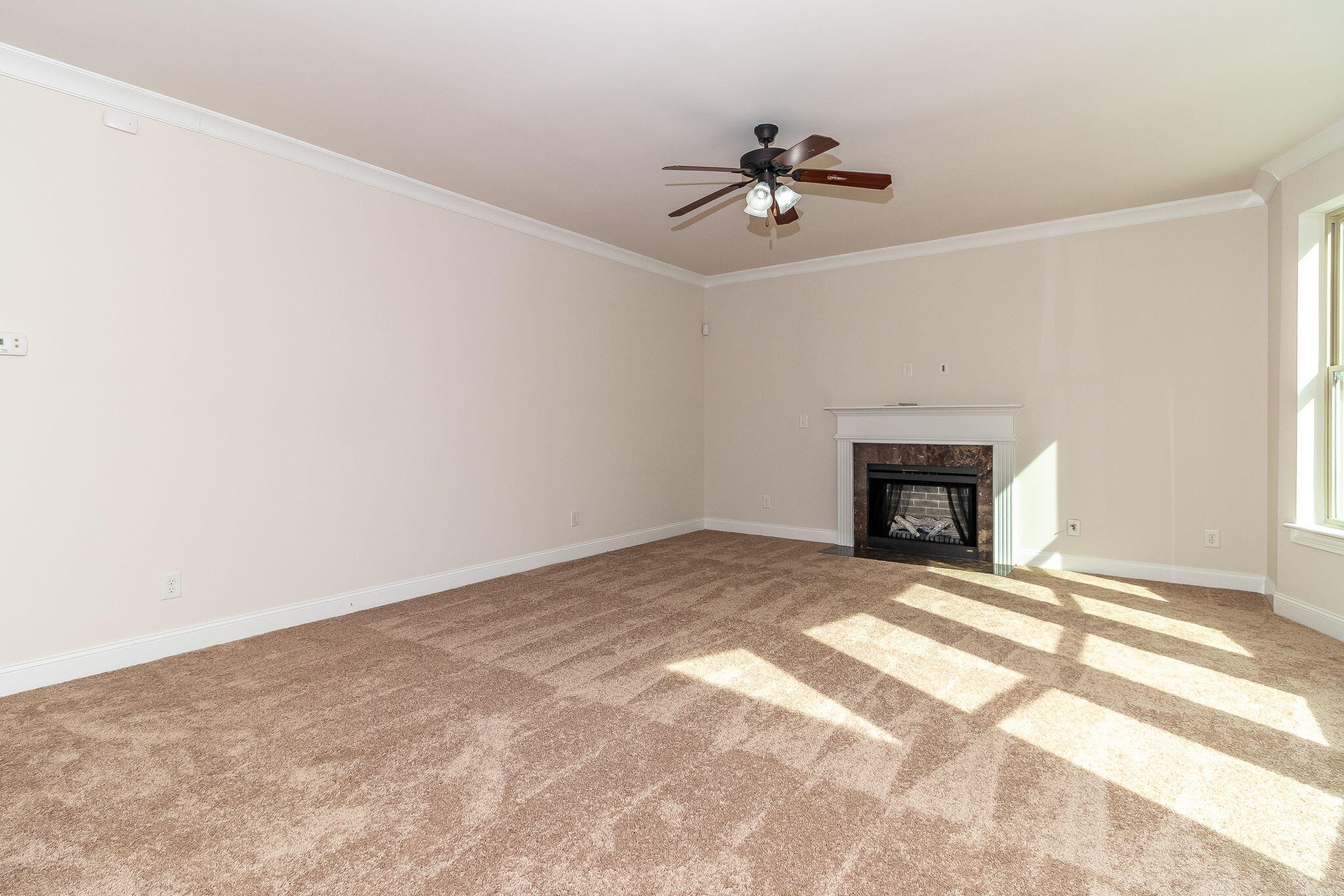 1514 Old Spruce Lane