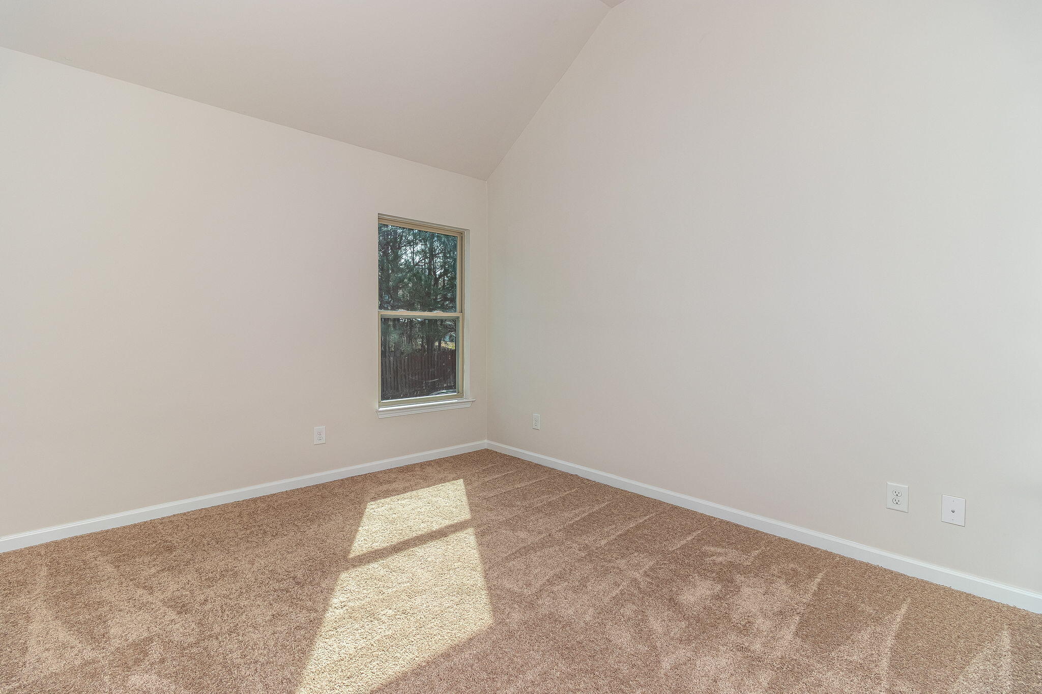 1514 Old Spruce Lane