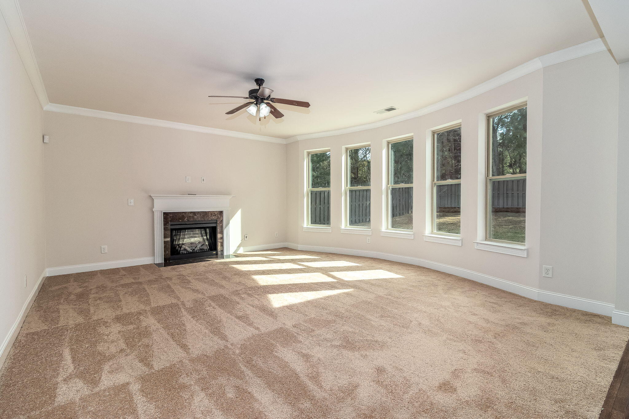 1514 Old Spruce Lane