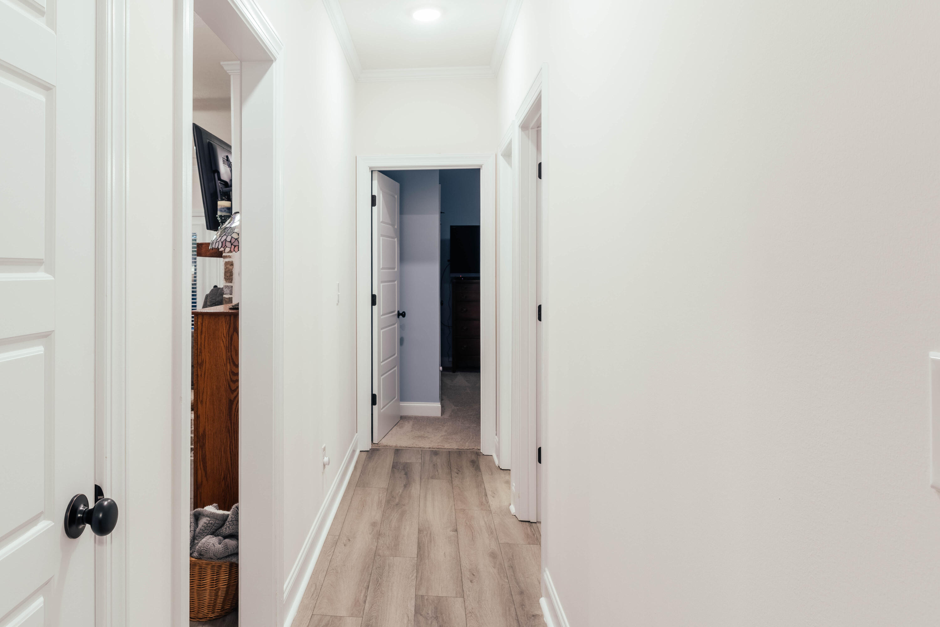 260 Saddlebrook Trail