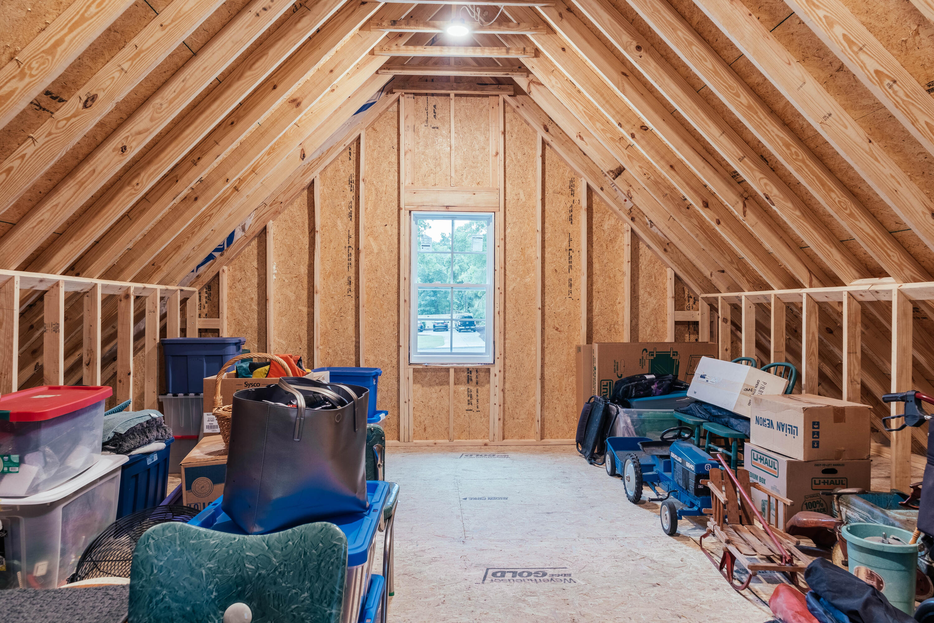 260 Saddlebrook Trail
