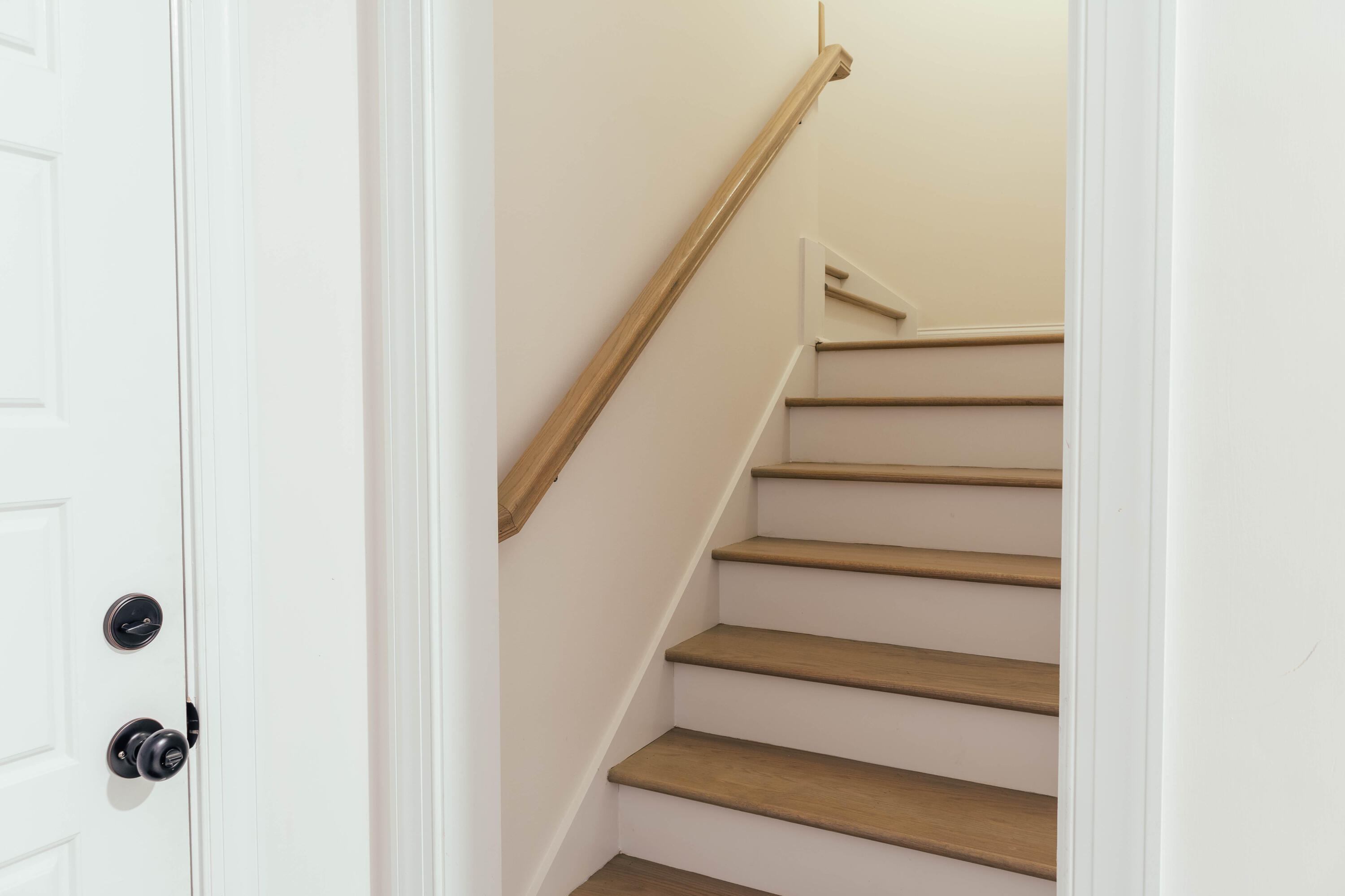 260 Saddlebrook Trail