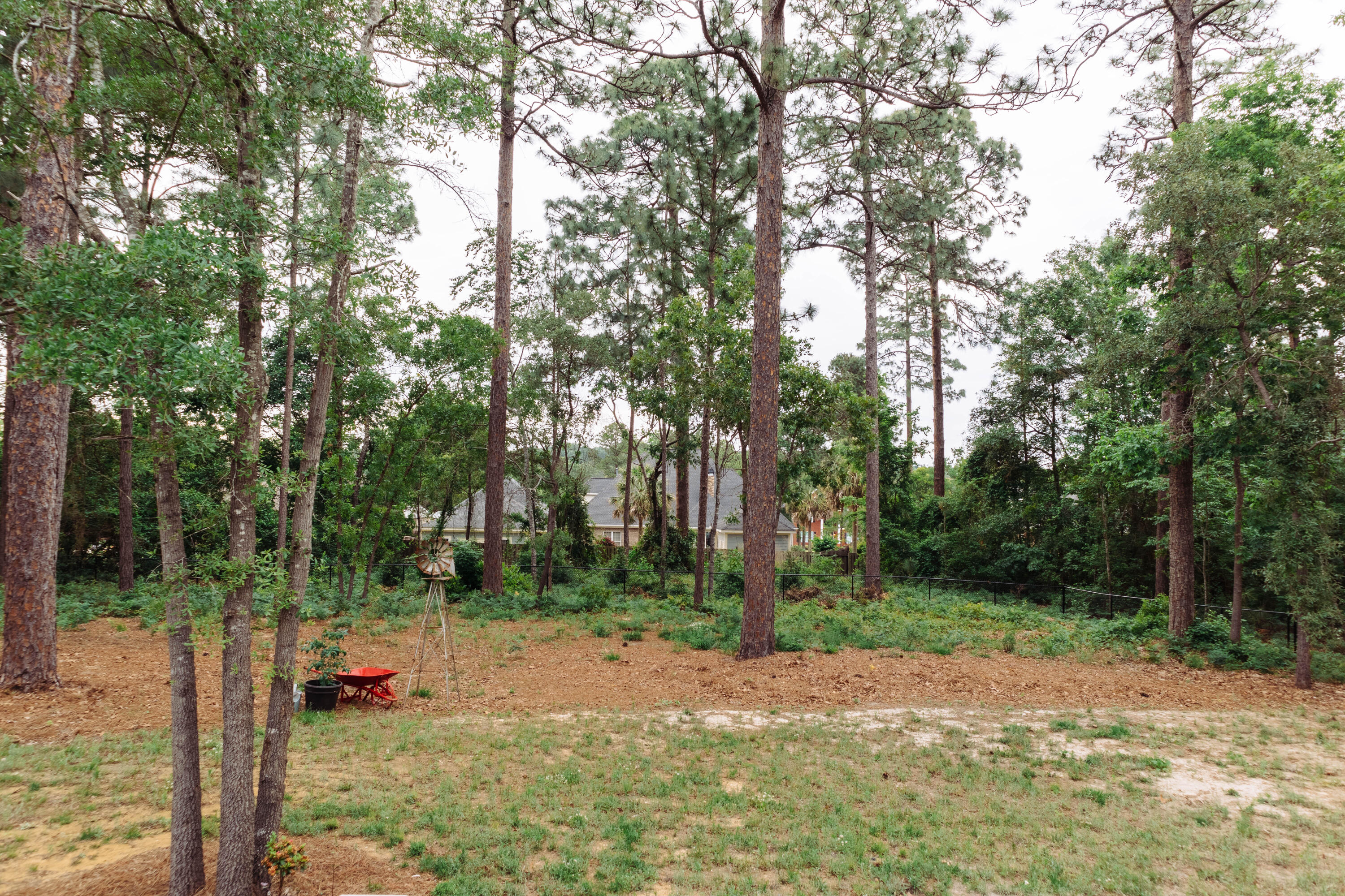 260 Saddlebrook Trail