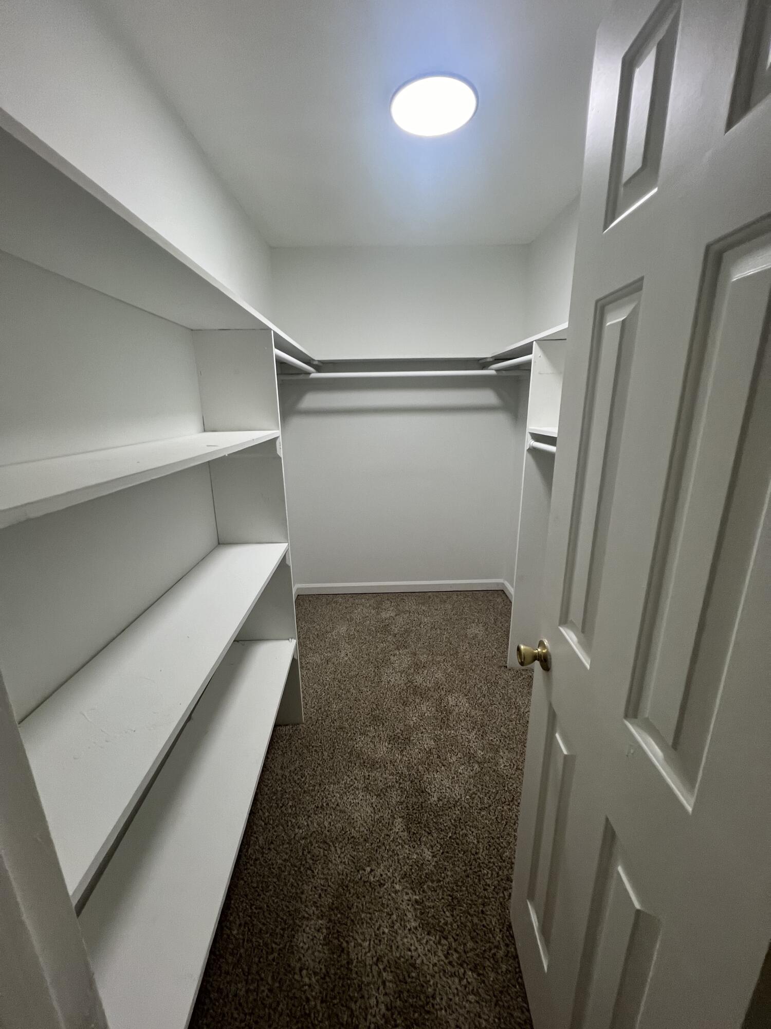 901 Hunting Horn Way