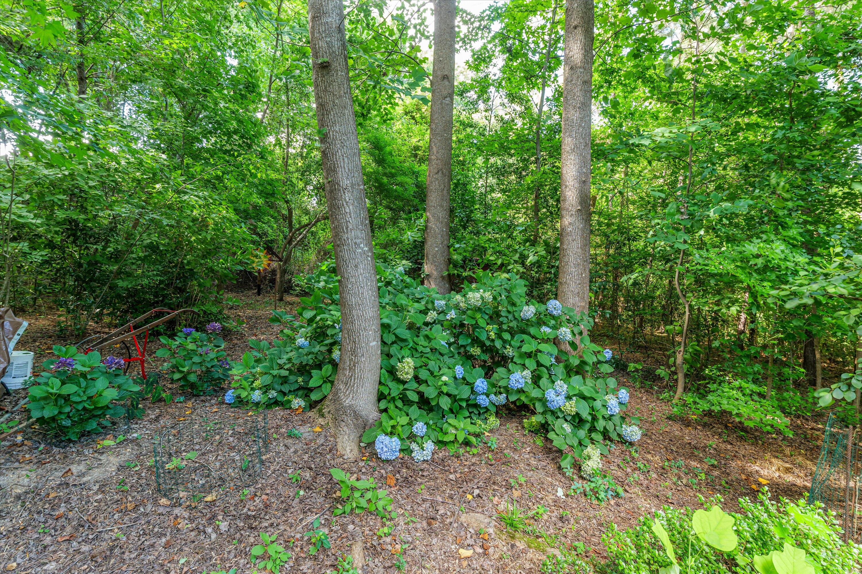 829 Mayo Lane
