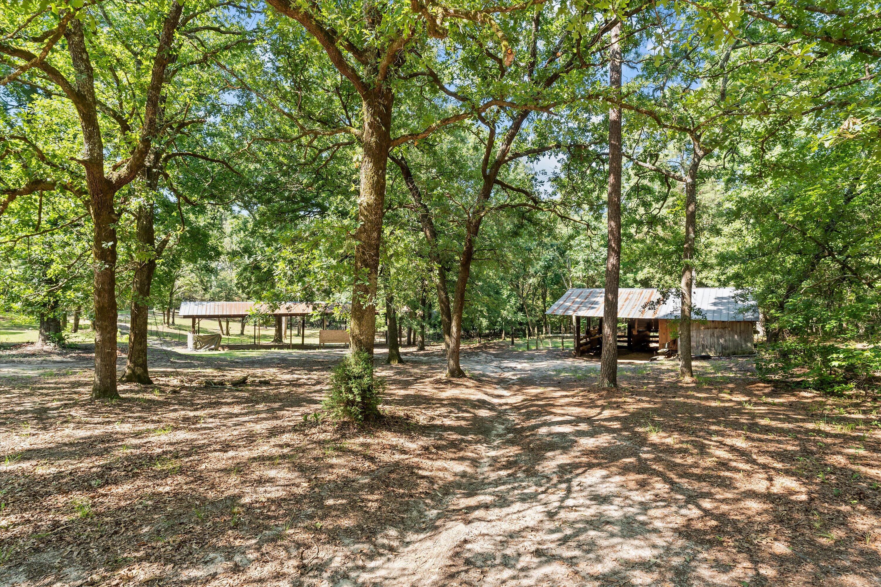 676 Al Dempsey Road
