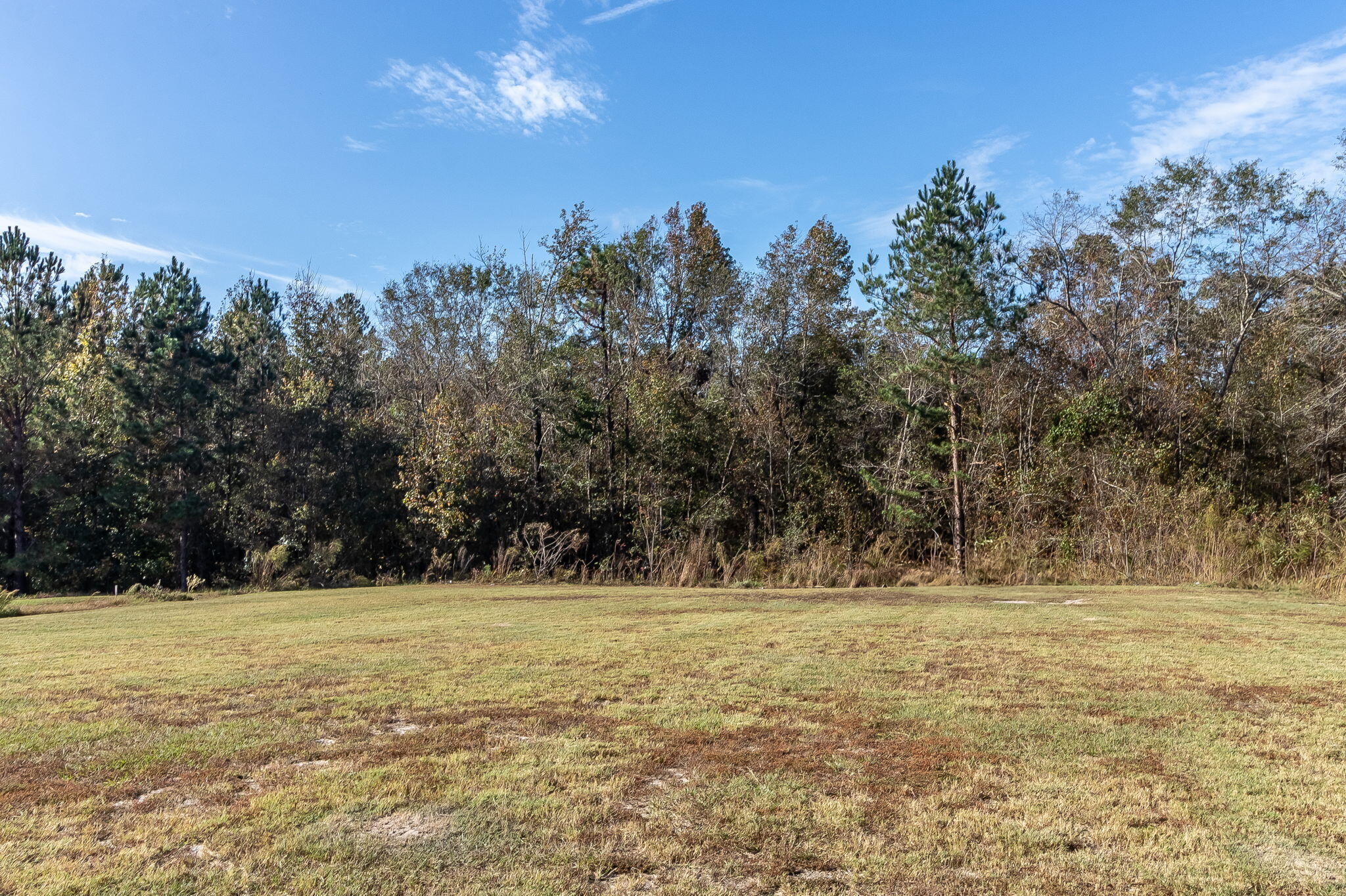 1507 Caleb Way