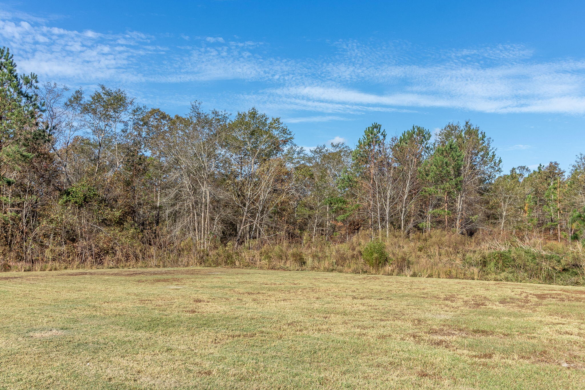 1507 Caleb Way