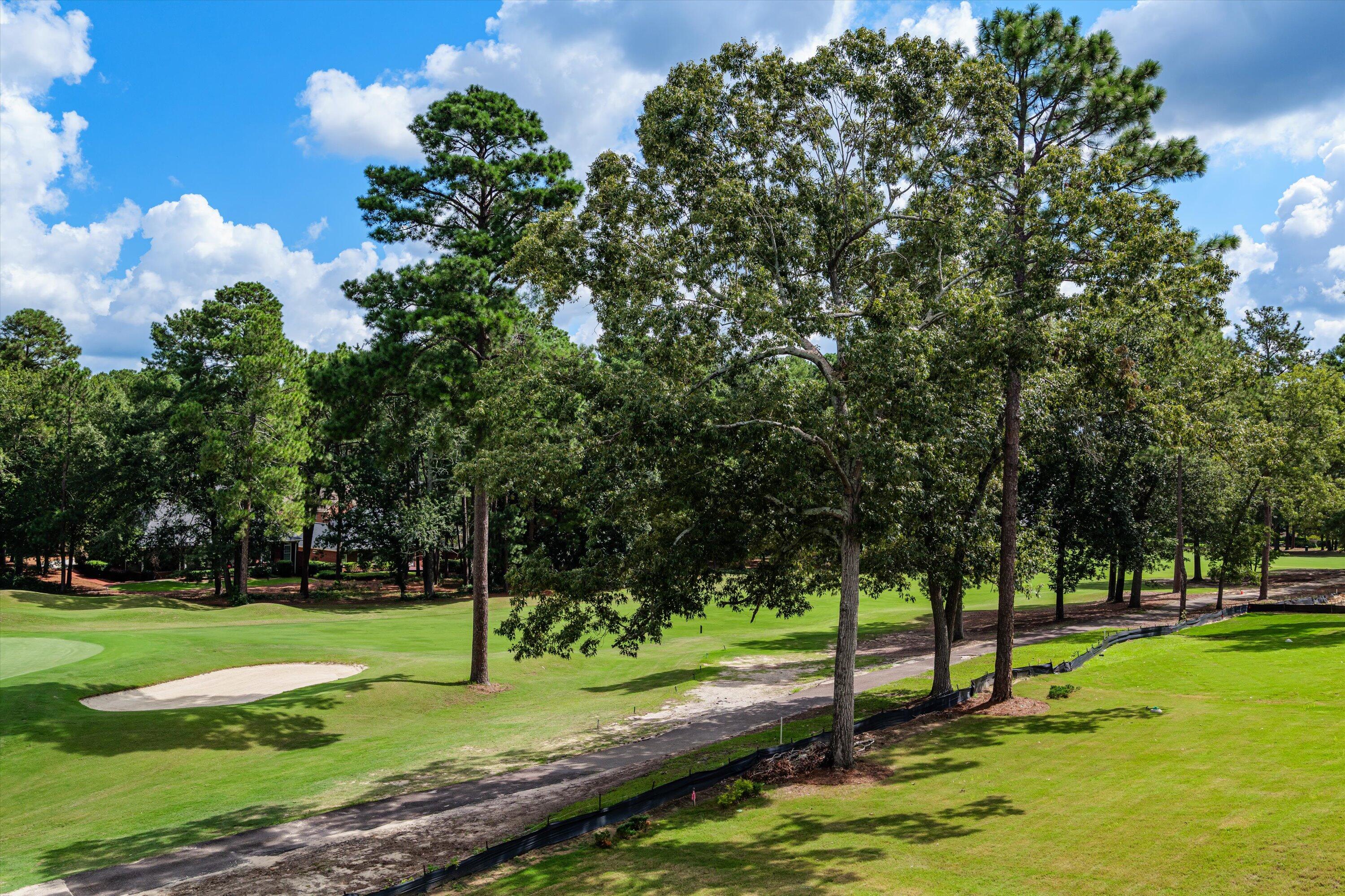 377 True Cedar Way Lot 5