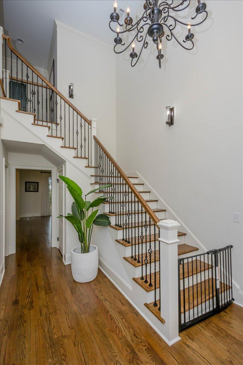 7505 Kittiwake Lane