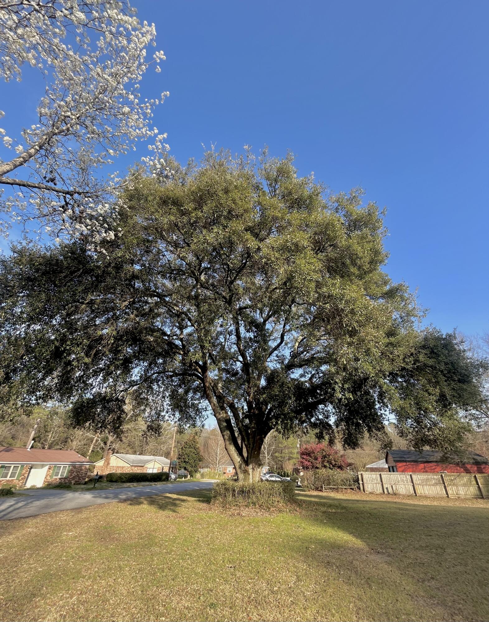 202 Pineview Drive