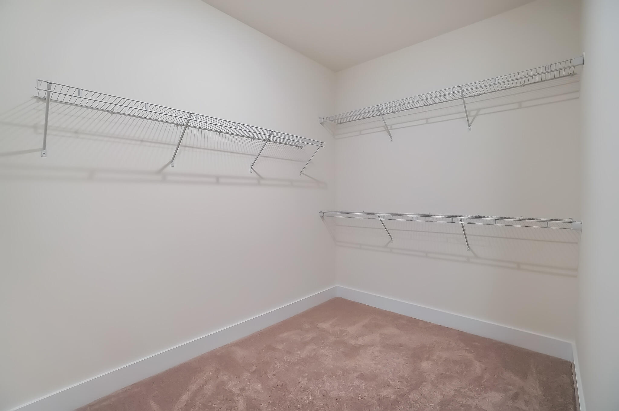 401 True Cedar Way