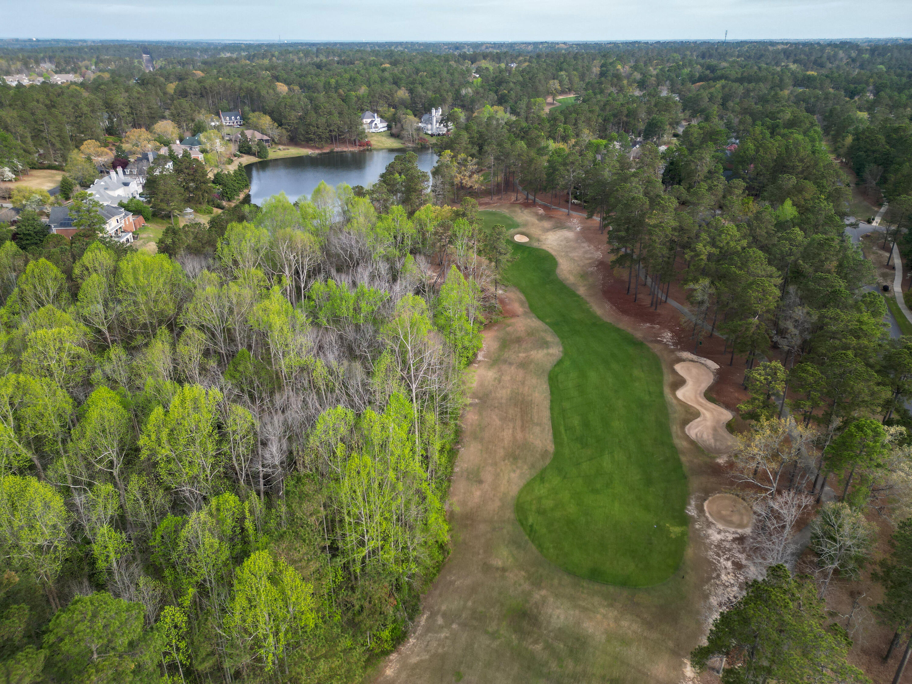 401 True Cedar Way