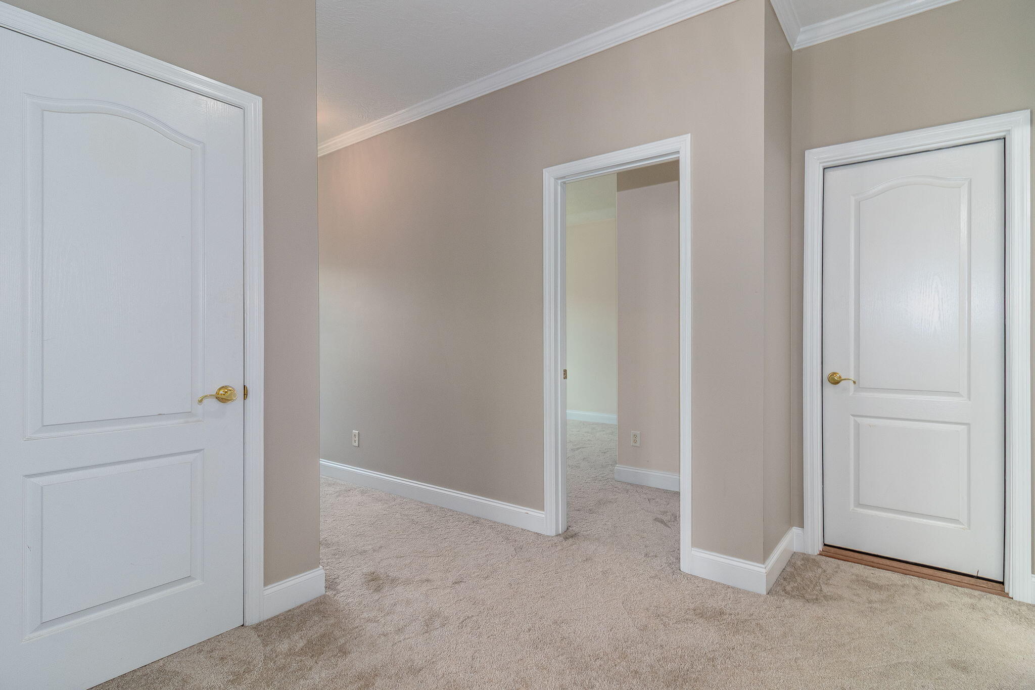 211 Oleander Trail