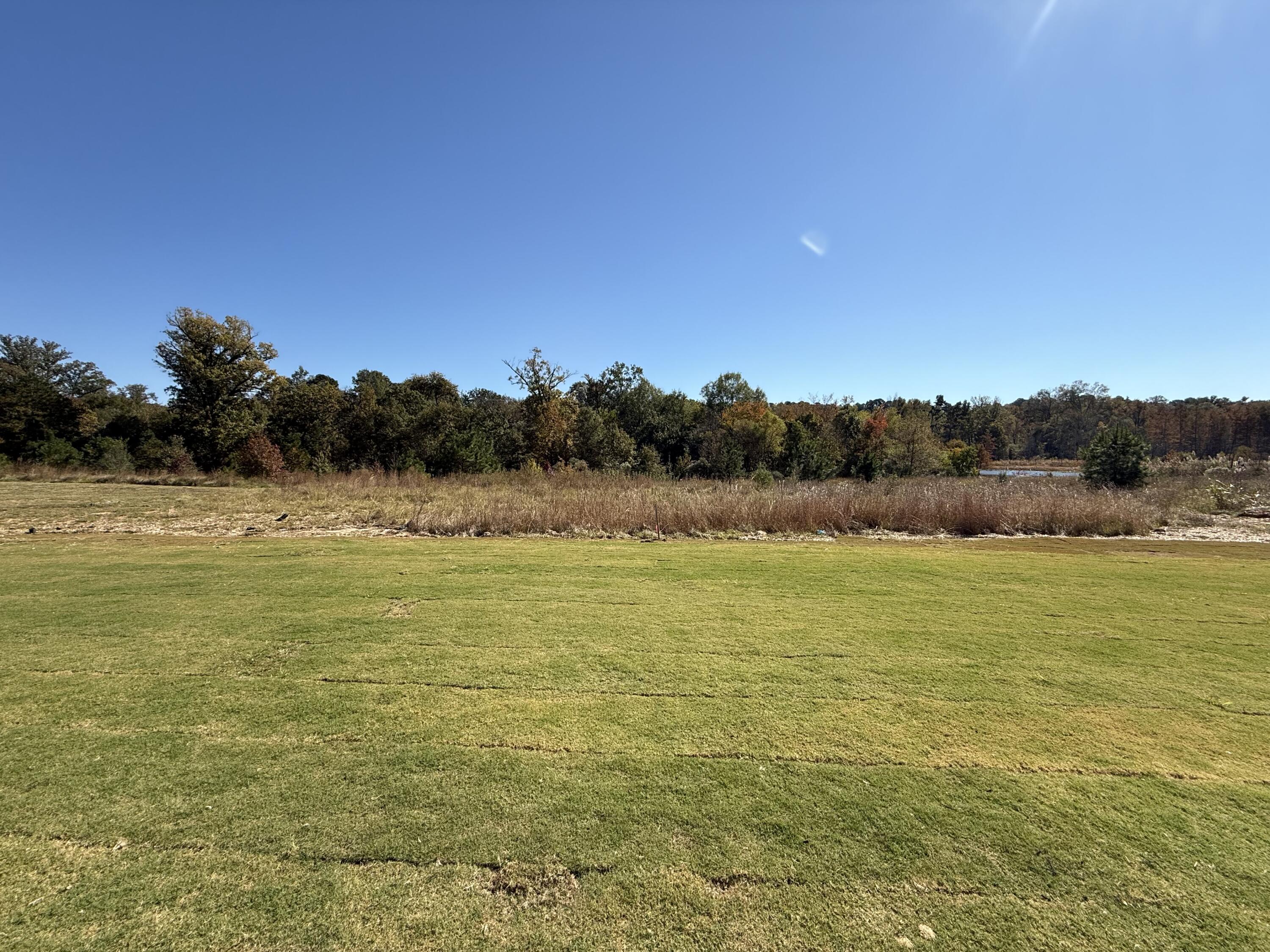711 Whitney Shoals Rd.