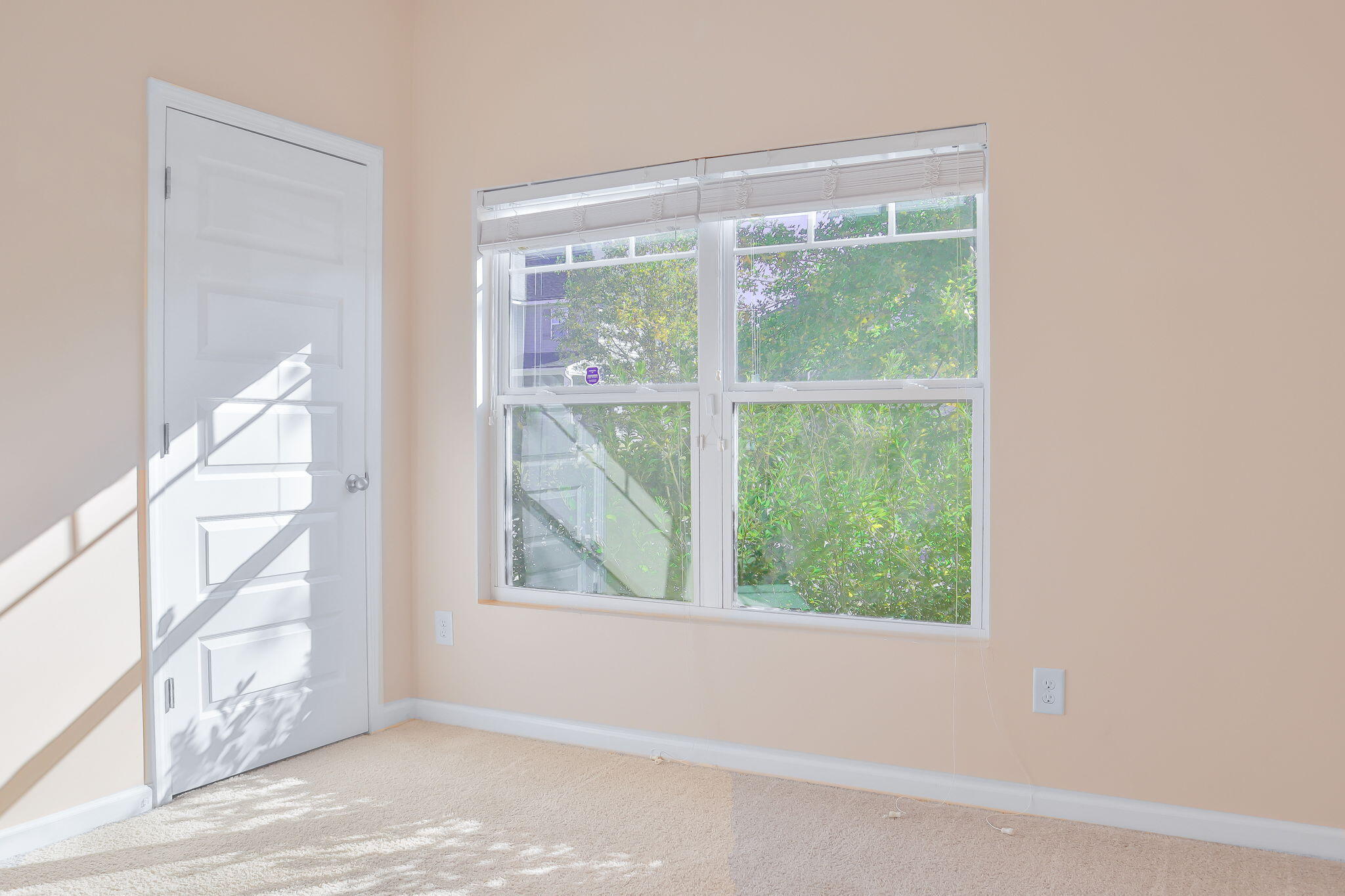 205 Hazelwood Court