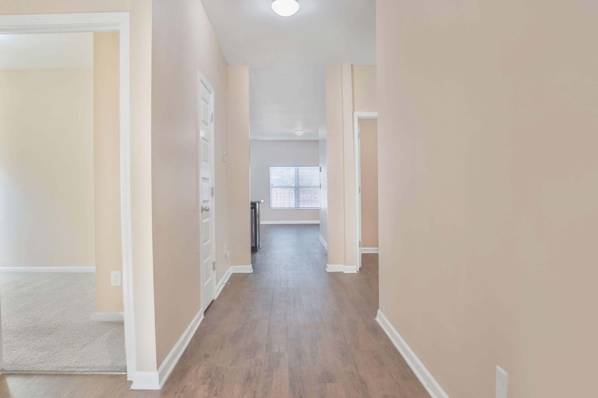 205 Hazelwood Court