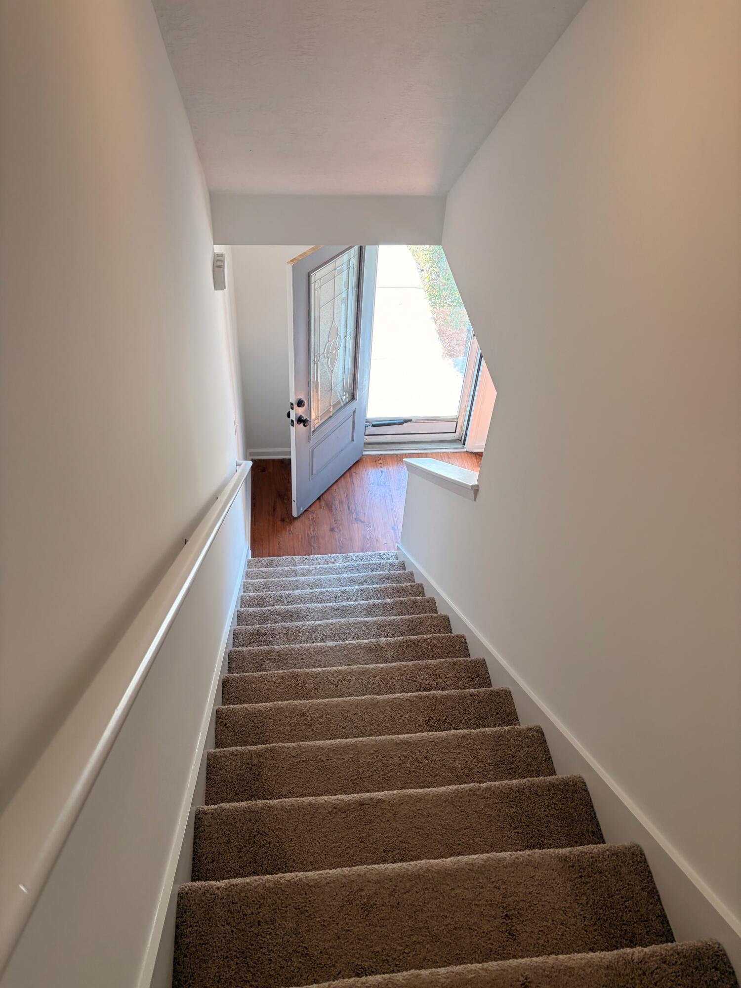 3483 Conifer Trail
