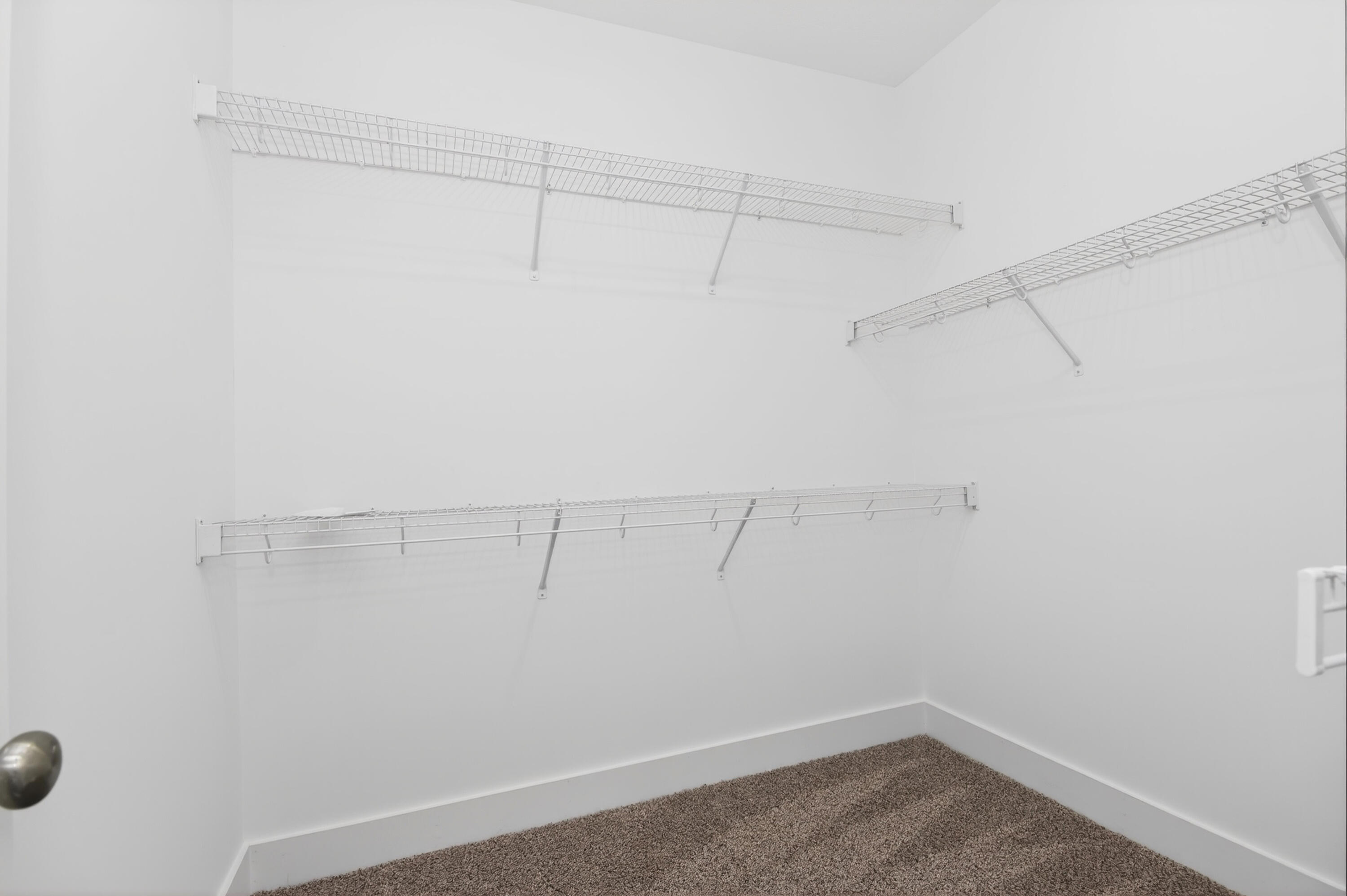 104 Wilcox Drive