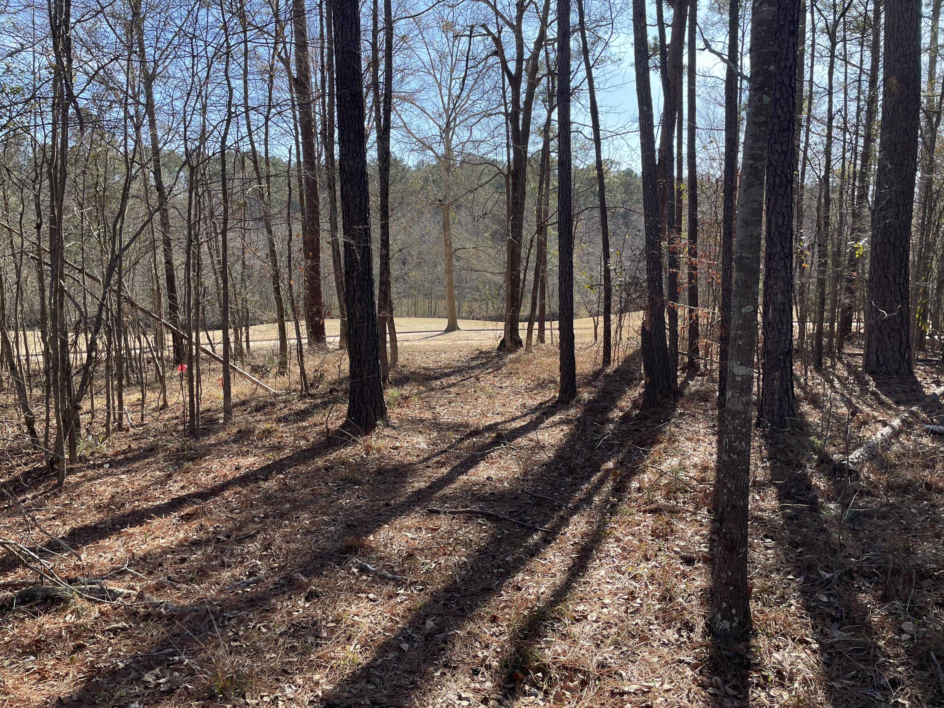 80 Beaver Pond Court L-18