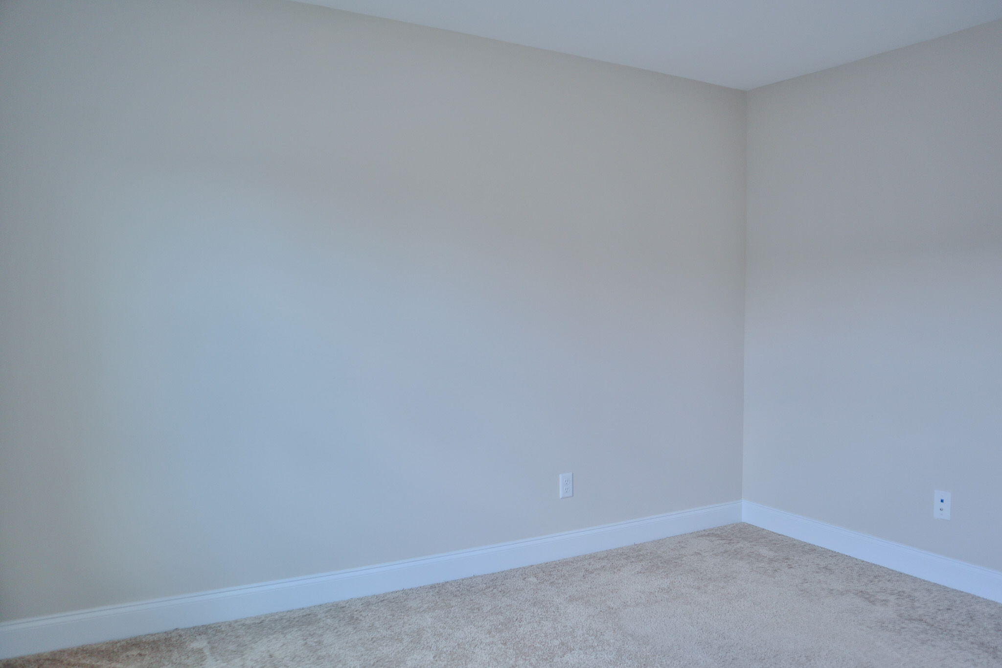 1305 Batchelor Court