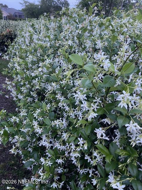 284 FOREST Boulevard, St. Johns