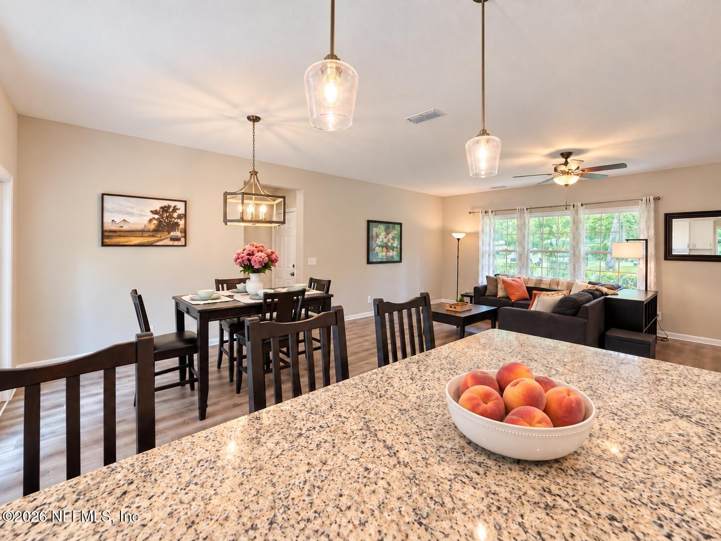 2924 GUAVA Court