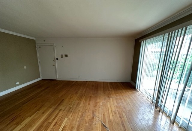 10113 Old Orchard Court Unit: 101