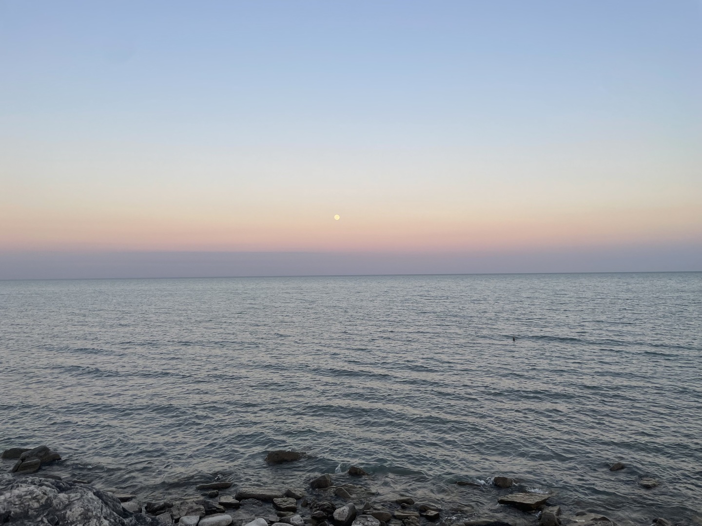 628 Sheridan Square Unit: 2