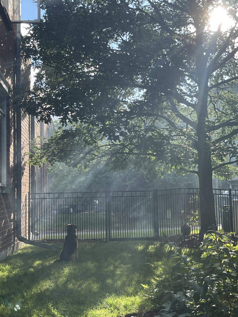 1515 Monroe Street Unit: A