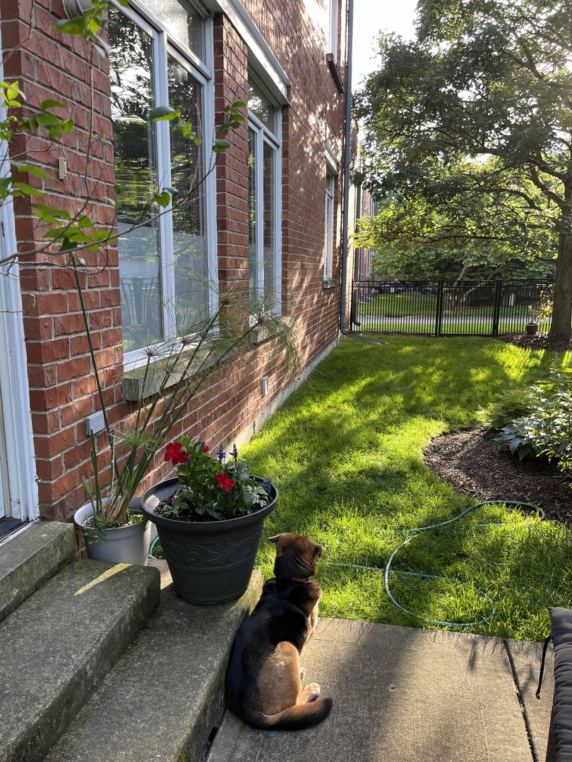 1515 Monroe Street Unit: A