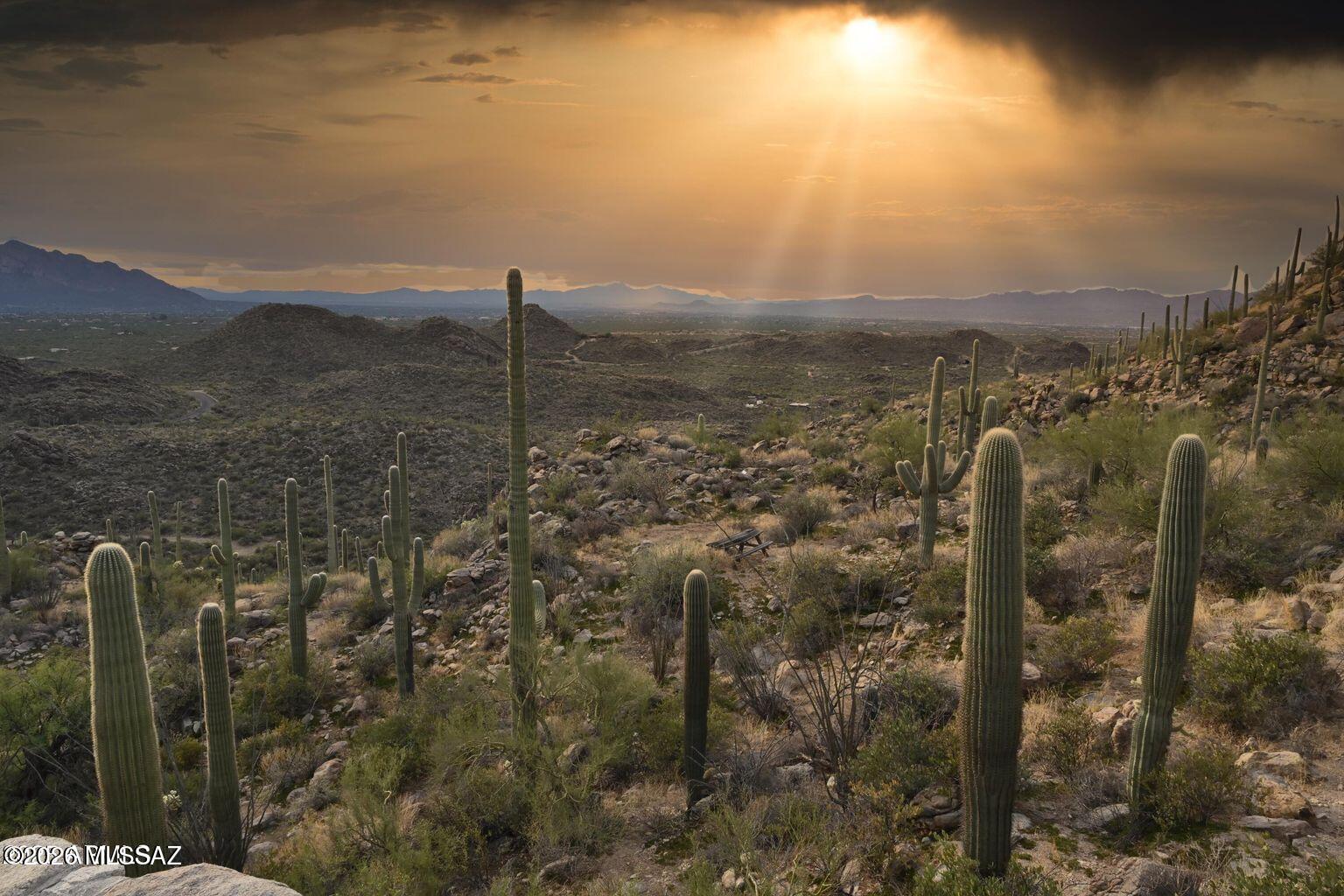 14460 N Old Ranch Rd 1