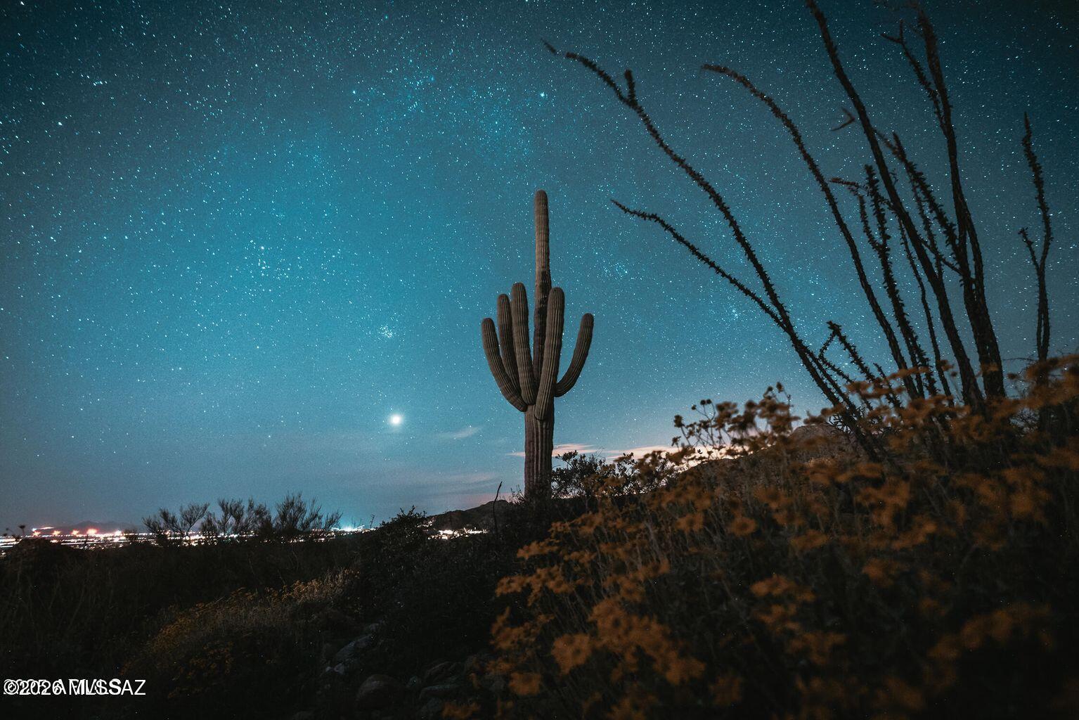 14460 N Old Ranch Rd 1