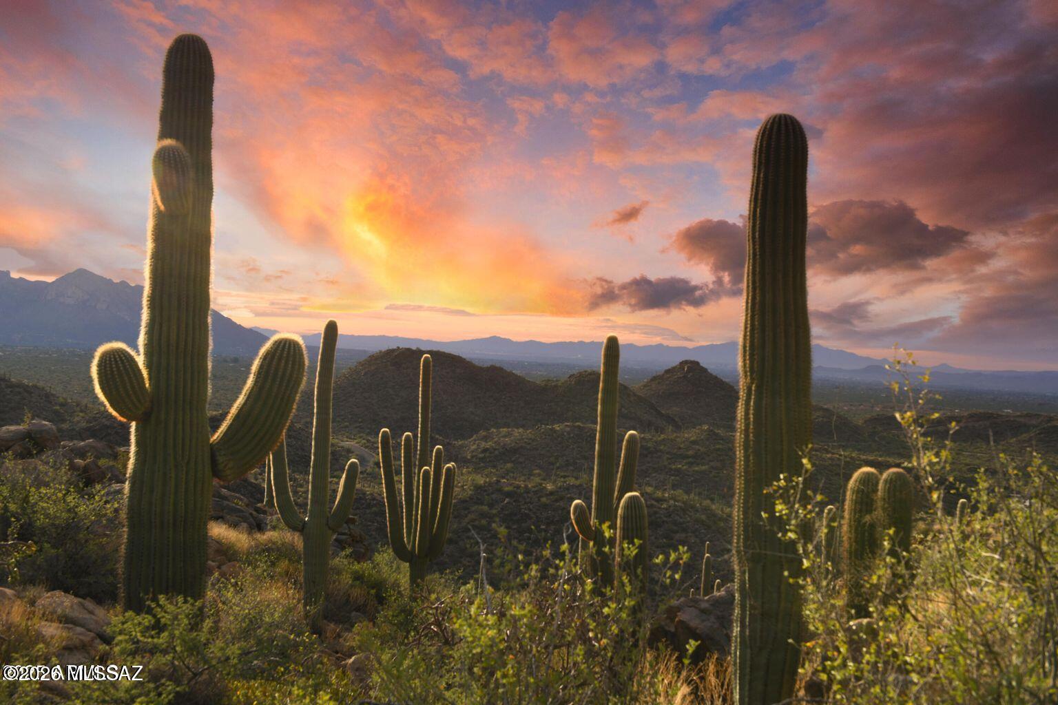 14460 N Old Ranch Rd 1