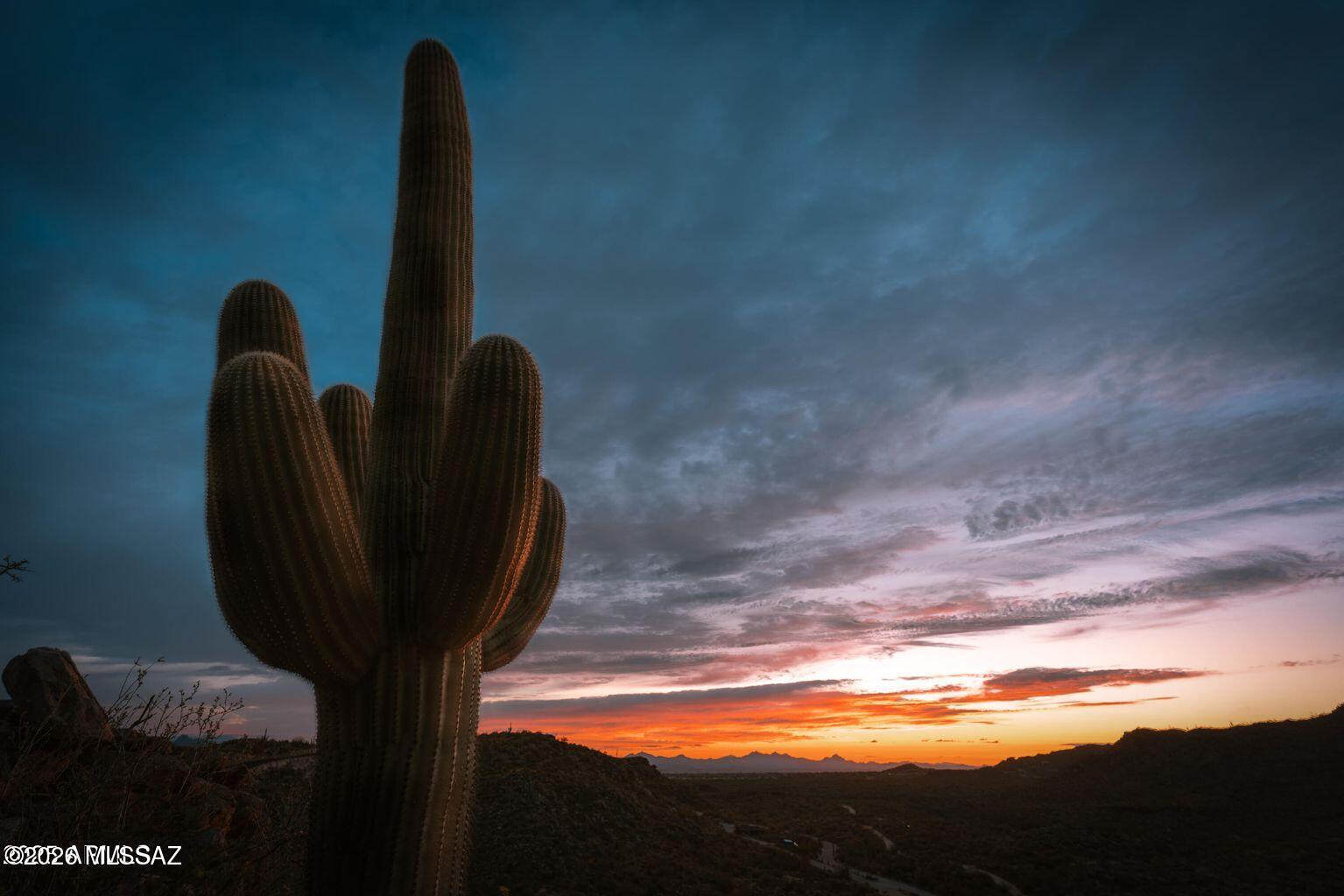 14460 N Old Ranch Rd 1