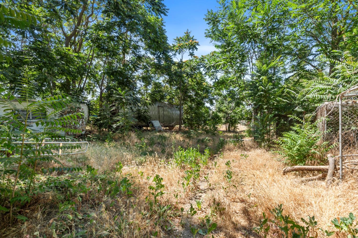1223 E Louise Avenue