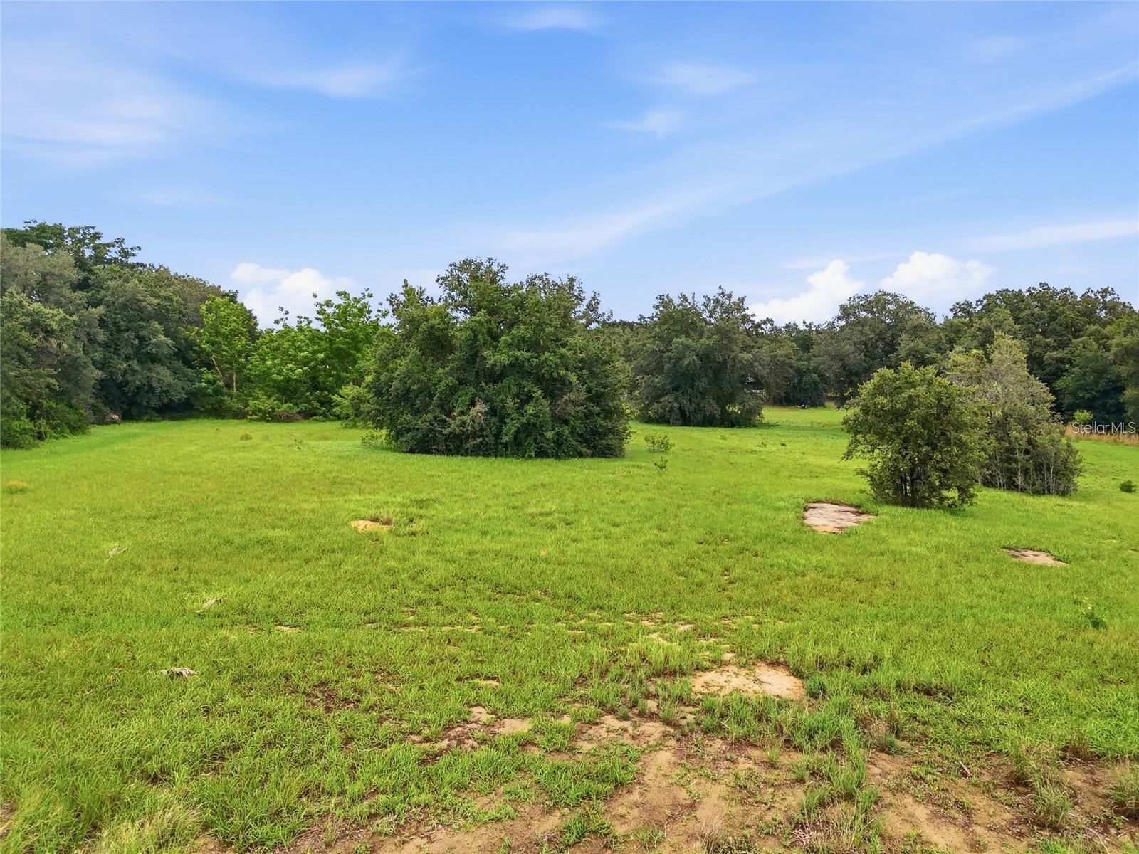 Grassy vacant lot bordered by mature trees, with patches of bare soil in the foreground.