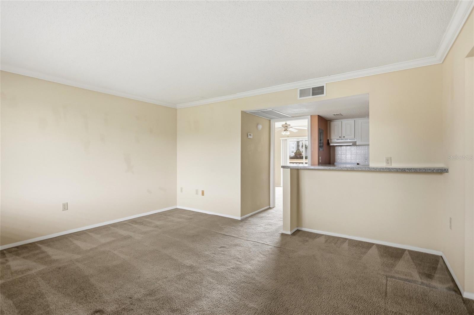 Vacant living room with beige carpet and a pass-through counter opening to the kitchen.