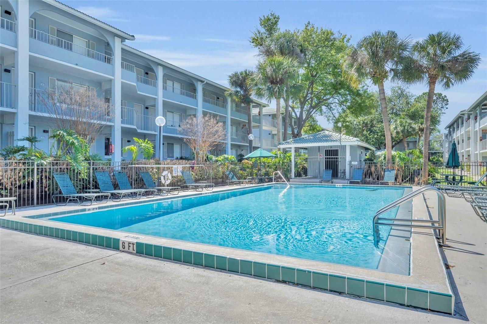 Condominium courtyard pool with blue lounge chairs, palm trees, and multi-story buildings.
