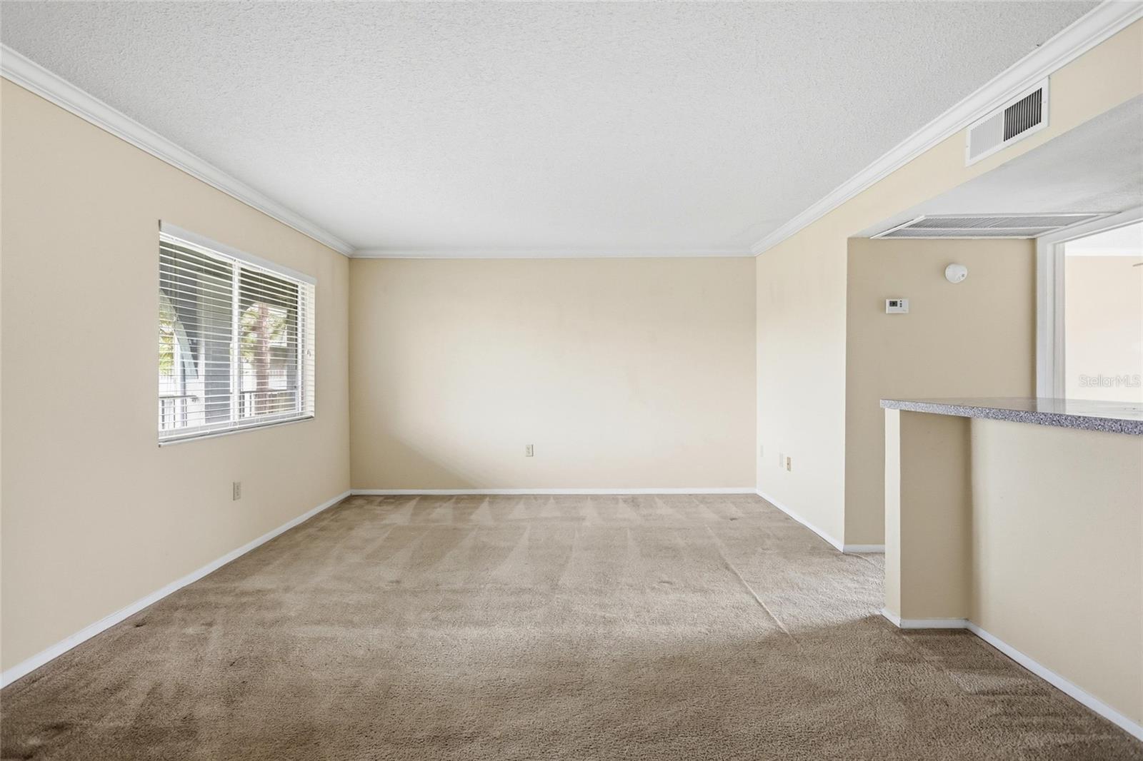Empty carpeted living room with a window and pass-through counter.