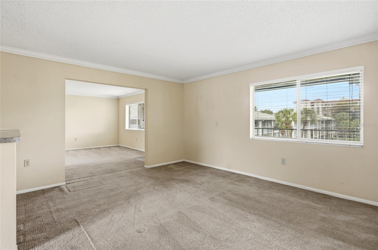 Empty carpeted living room with a large window and an open doorway to an adjoining room.