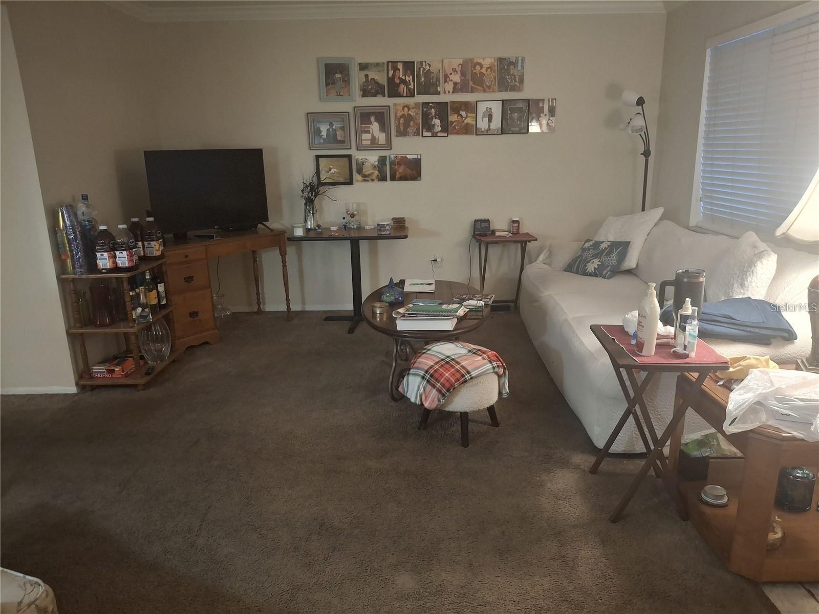 Living room with a white sofa, brown carpet, television, and framed photographs covering the wall.