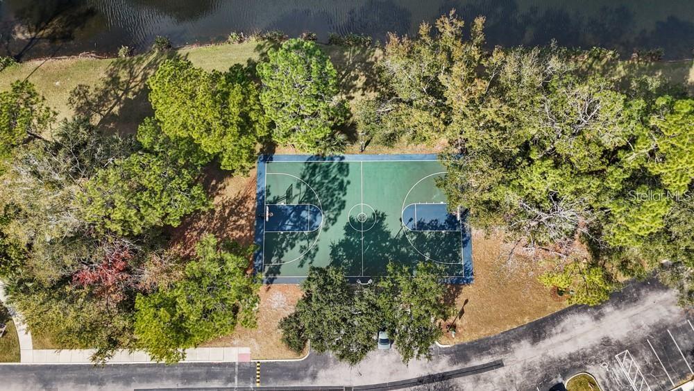 Aerial view of a basketball court beside a tree-lined lake.