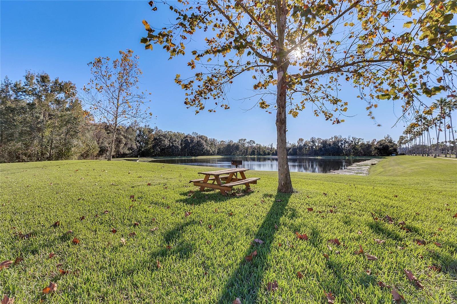 Grassy pondside lawn with a picnic table beneath a tree and wooded shoreline.
