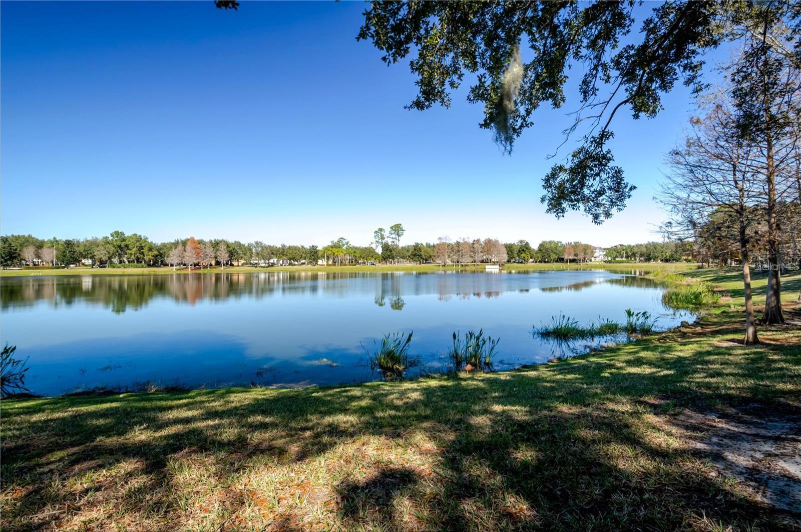 Calm lake reflecting trees, viewed from a grassy, tree-shaded shoreline.