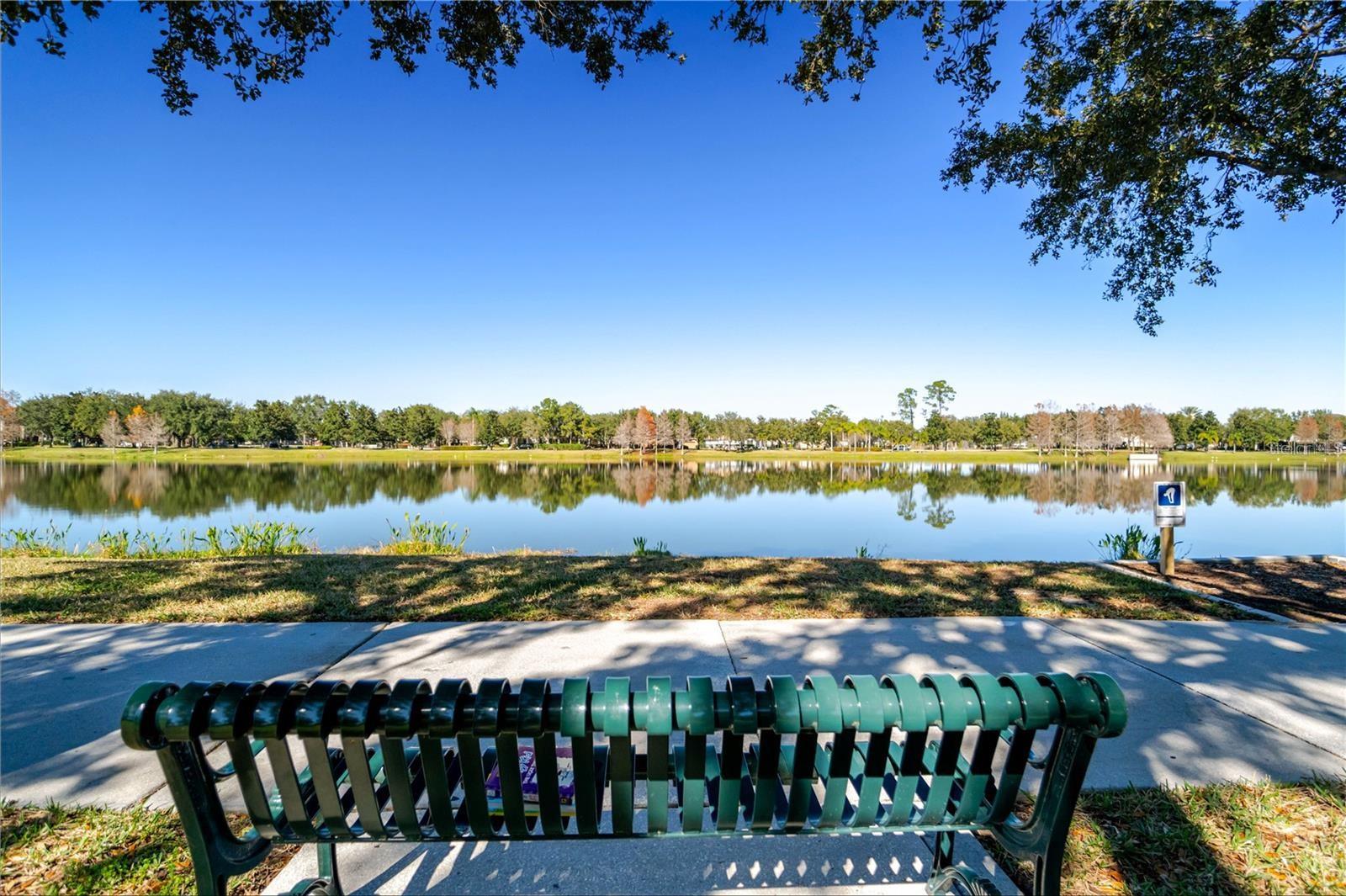 Calm lake view with tree reflections and a green bench beside the waterside path.