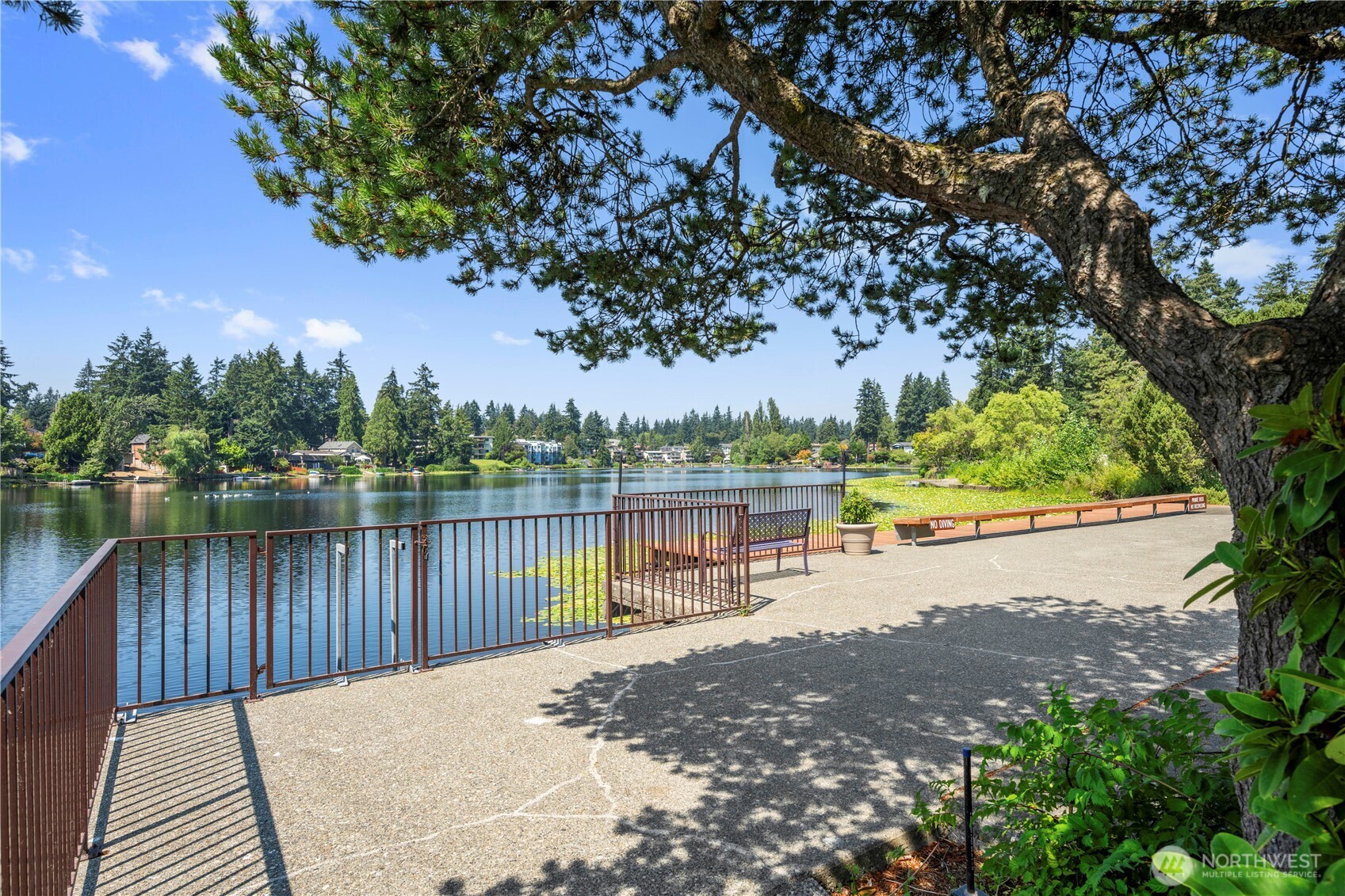 13229 Linden Avenue N Unit: 507B